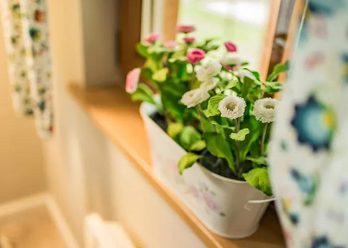 Folkowa Chatka- Kaszubska Ostoja